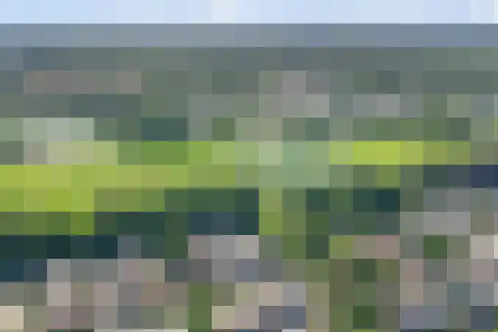 Foto van Sabine Hendriks-Munk