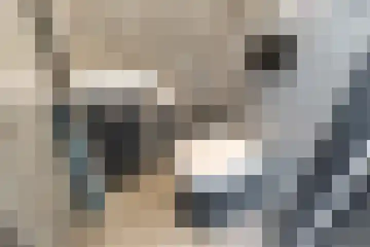 Sadatweg 29 Delft thumbnail 9