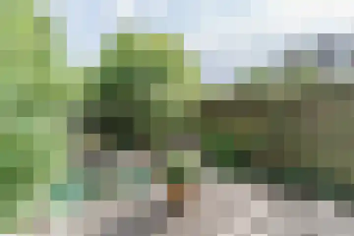 Sadatweg 93 Delft thumbnail 10