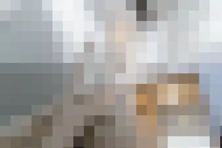 Sadatweg 93 Delft thumbnail 15