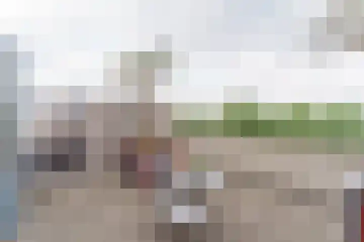 Sadatweg 93 Delft thumbnail 30