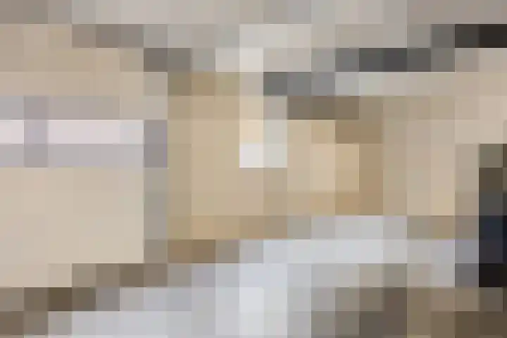 Sadatweg 93 Delft thumbnail 33