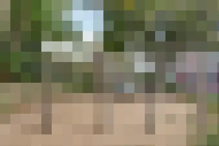 Sadatweg 93 Delft thumbnail 7