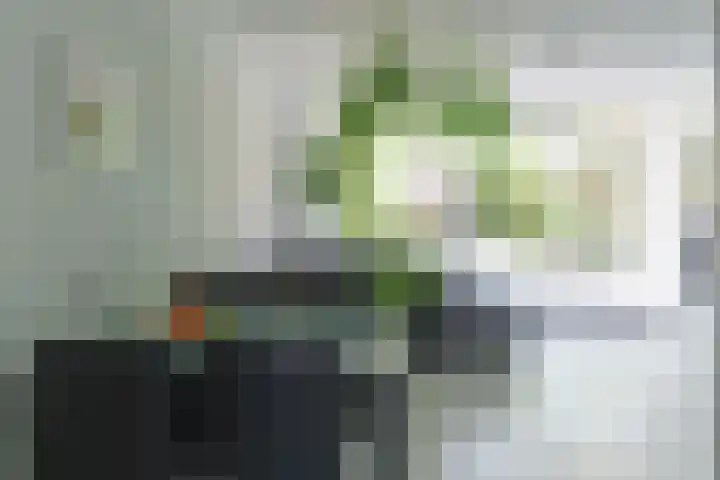 Sadatweg 93 Delft thumbnail 7