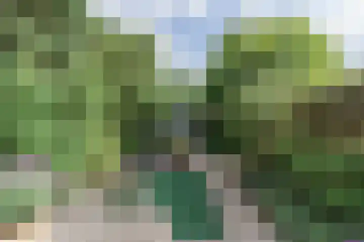 Sadatweg 93 Delft thumbnail 9