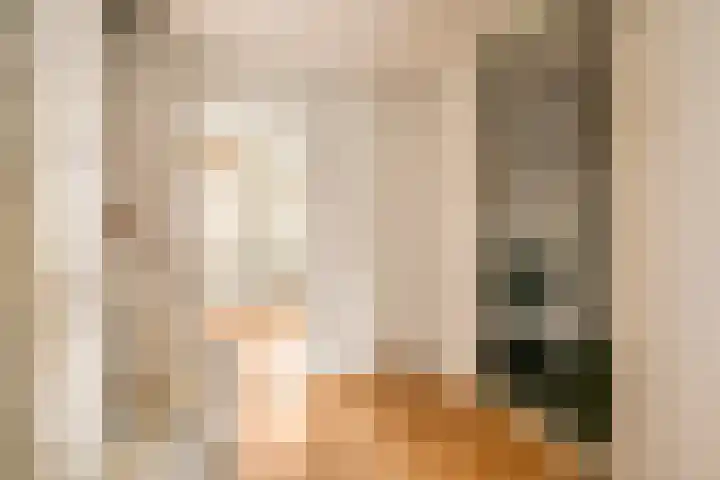 Saeftinge 97 Haarlem thumbnail 14