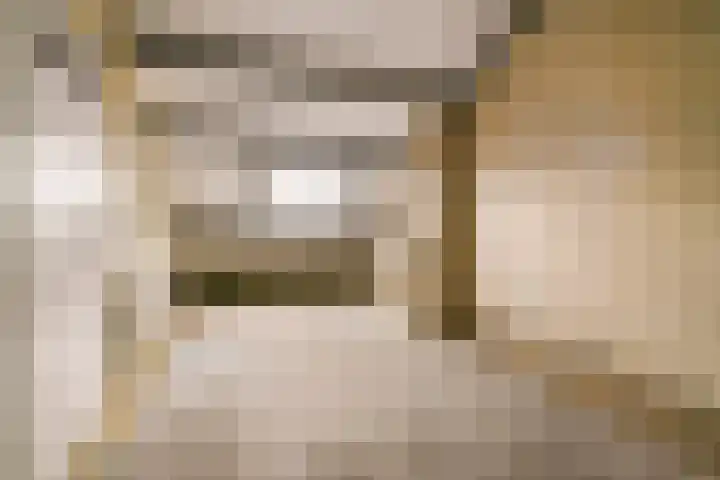 Saeftinge 97 Haarlem thumbnail 21