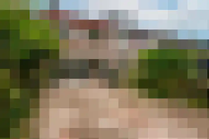Saeftinge 97 Haarlem thumbnail 23