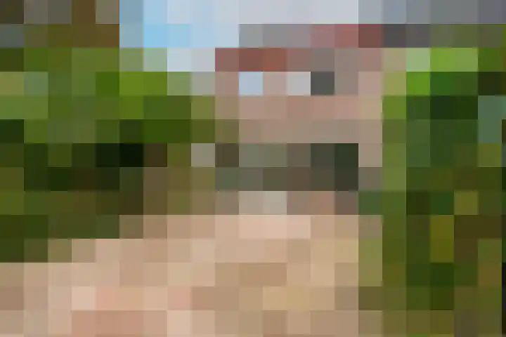 Saeftinge 97 Haarlem thumbnail 25