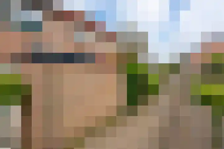 Saeftinge 97 Haarlem thumbnail 30