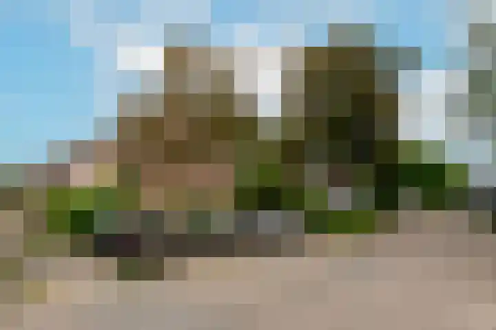 Saeftinge 97 Haarlem thumbnail 31