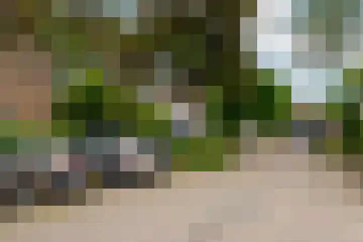 Saeftinge 97 Haarlem thumbnail 33