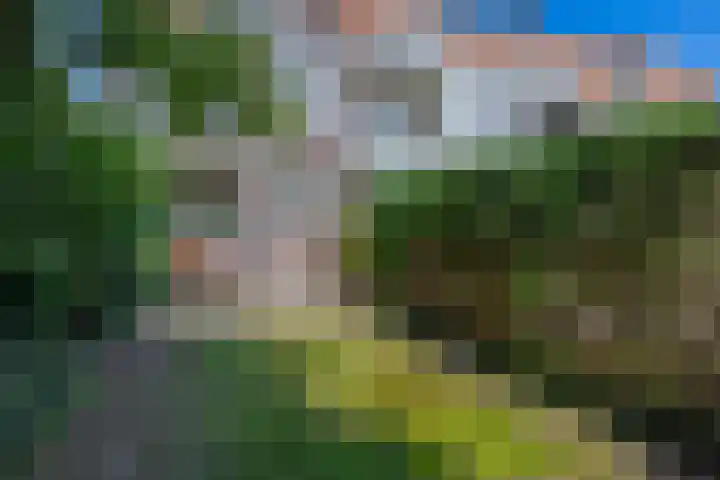 Saenredamplein 5 Rotterdam thumbnail 23