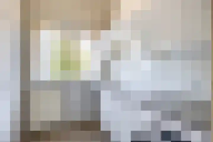 Saenredamplein 5 Rotterdam thumbnail 26