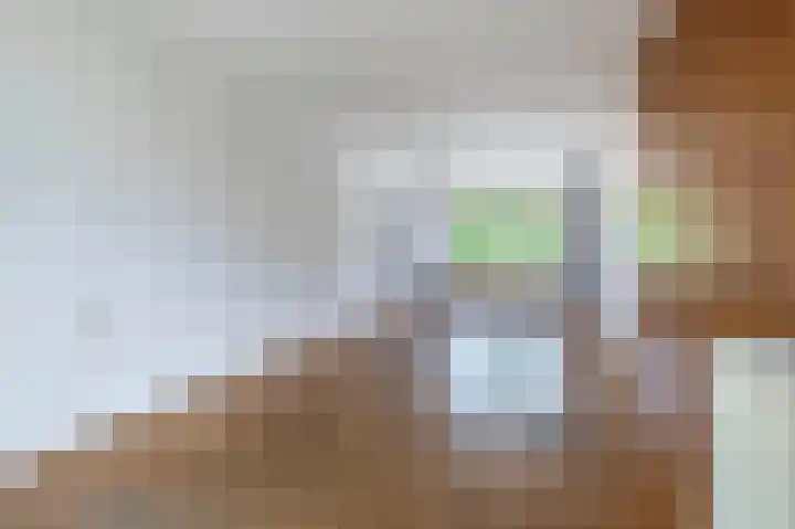 Saenredamplein 5 Rotterdam thumbnail 31
