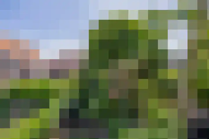 Saenredamplein 5 Rotterdam thumbnail 33
