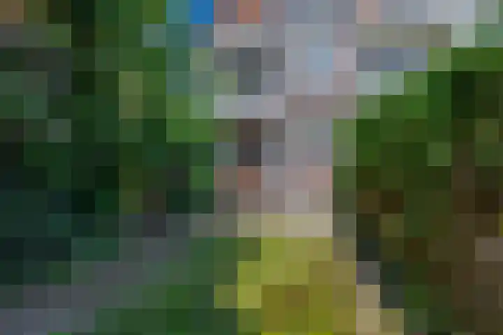 Saenredamplein 5 Rotterdam thumbnail 5