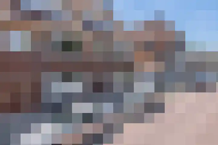 Saenredamplein 5 Rotterdam thumbnail 53