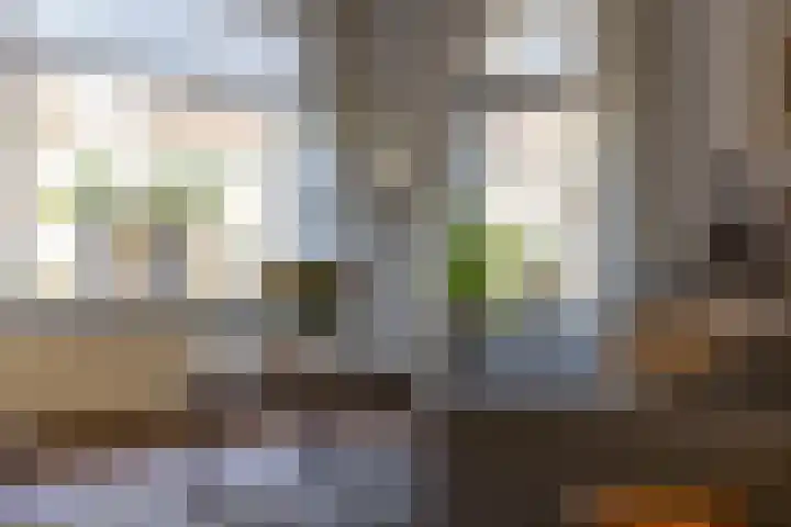 Saffier 12 Drachten thumbnail 12
