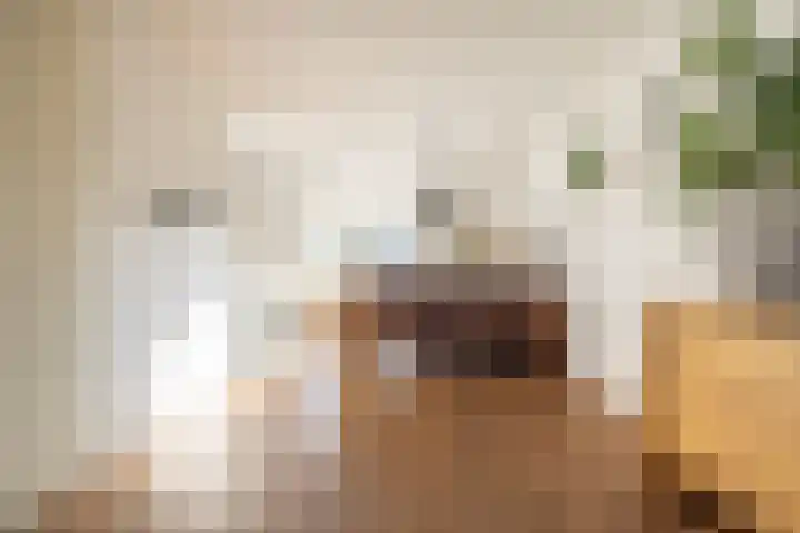 Saffier 12 Drachten thumbnail 15