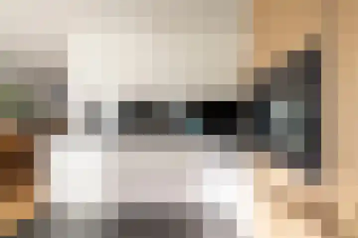 Saffier 12 Drachten thumbnail 18