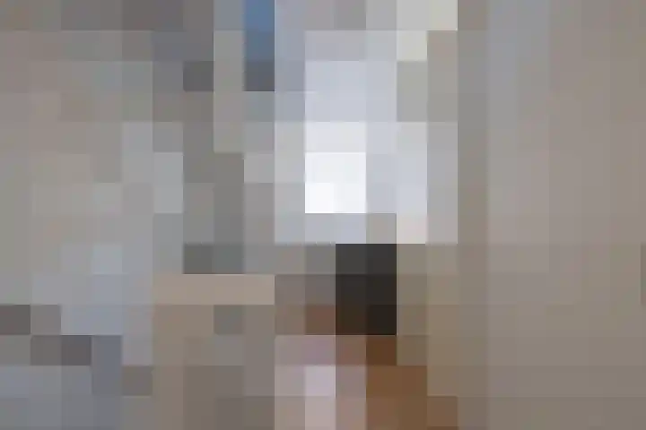Saffier 12 Drachten thumbnail 21