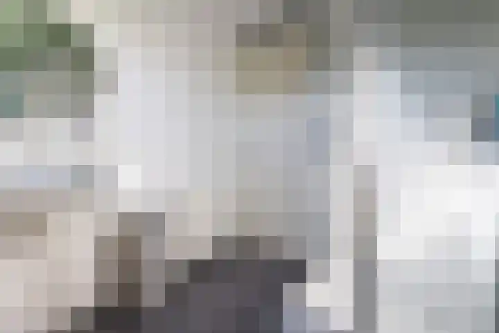 Saffier 12 Drachten thumbnail 28