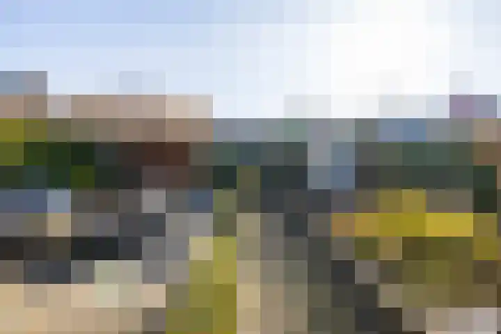 Saffier 12 Drachten thumbnail 37