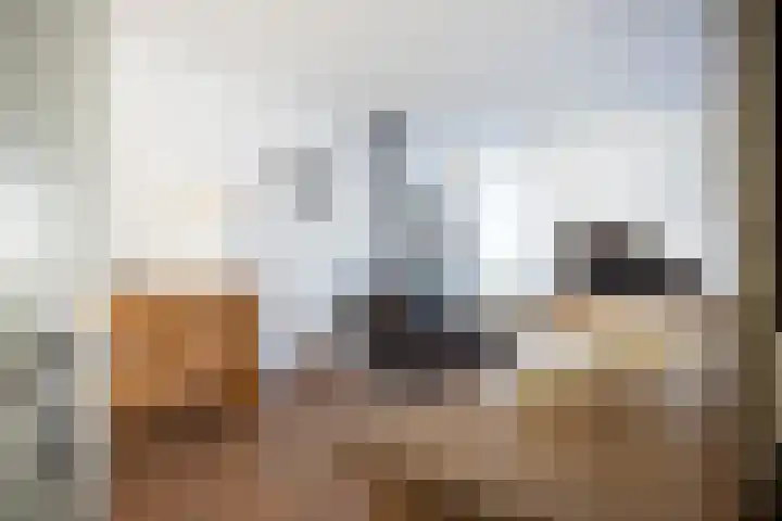 Saffier 12 Drachten thumbnail 7