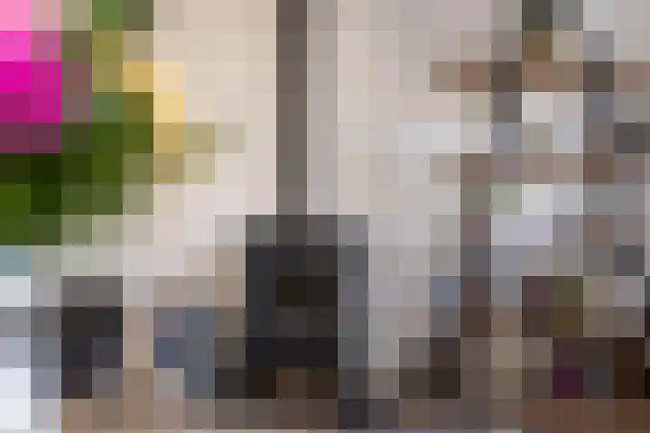 Saffier 12 Drachten thumbnail 9