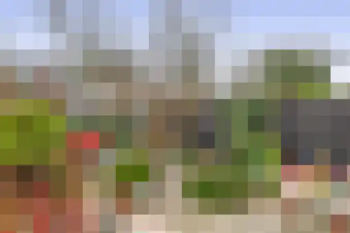 Saffier 3 's-Gravenzande thumbnail 17