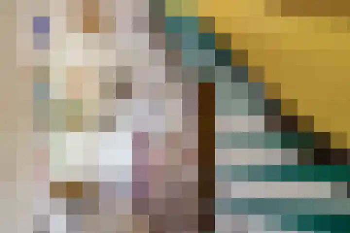 Saffier 3 's-Gravenzande thumbnail 30