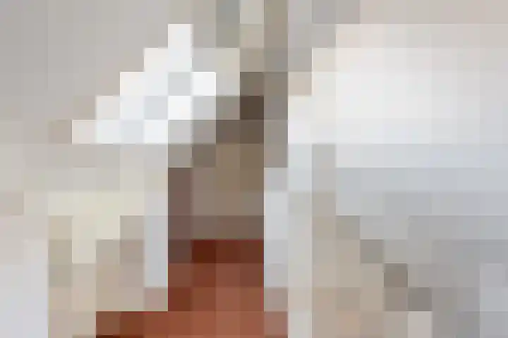 Saffier 3 's-Gravenzande thumbnail 32