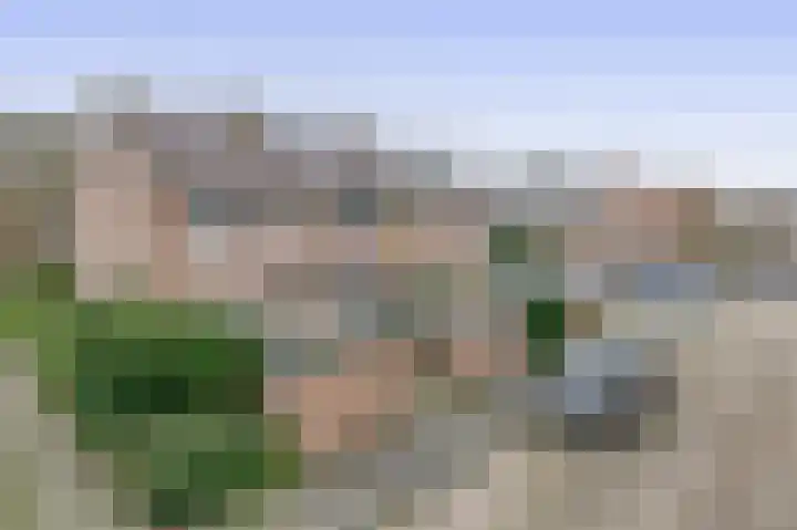 Saffier 3 's-Gravenzande thumbnail 36