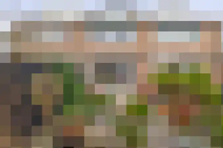 Saffier 3 's-Gravenzande thumbnail 4