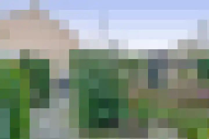 Saffier 3 's-Gravenzande thumbnail 42
