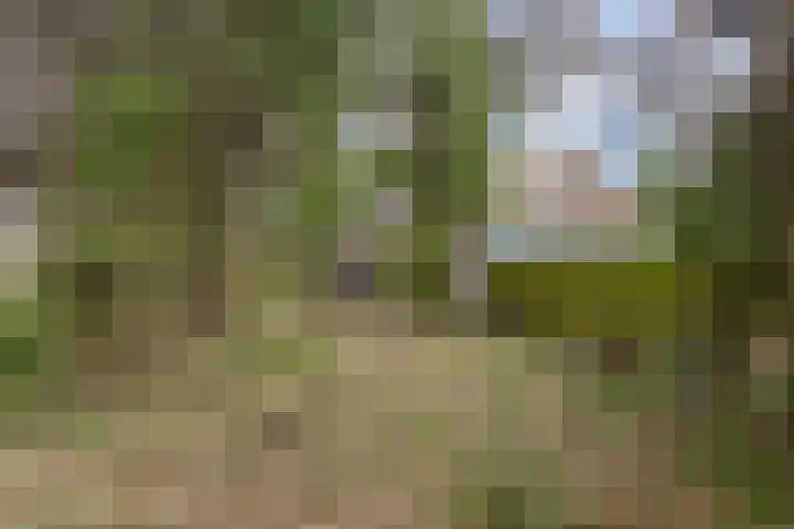Saffier 40 Berkel en Rodenrijs thumbnail 10
