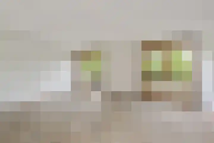 Saffier 40 Berkel en Rodenrijs thumbnail 20