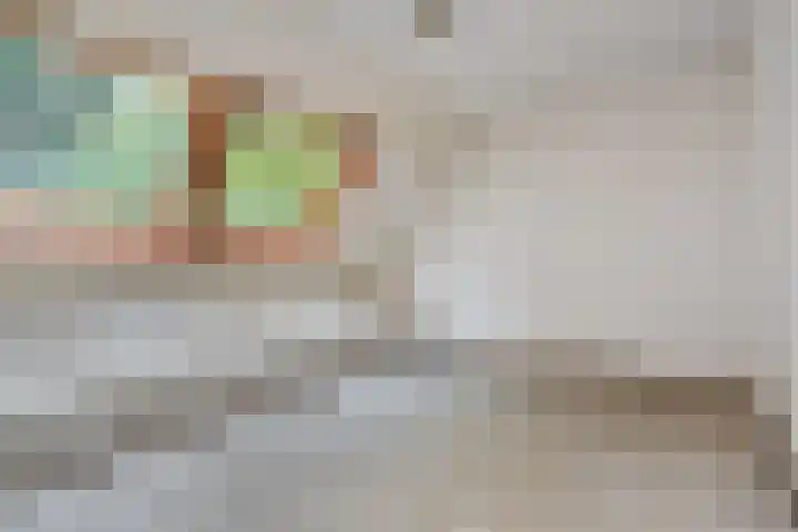 Saffier 40 Berkel en Rodenrijs thumbnail 29