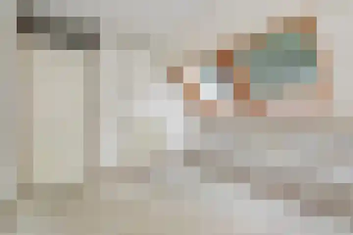 Saffier 40 Berkel en Rodenrijs thumbnail 30