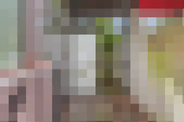 Saffier 40 Berkel en Rodenrijs thumbnail 5