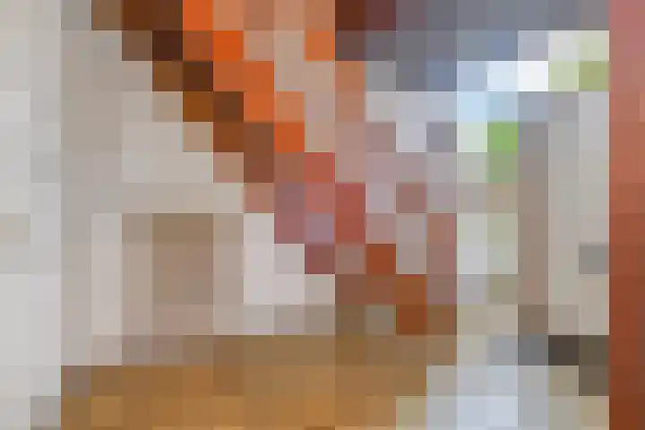 Saffier 40 Berkel en Rodenrijs thumbnail 6
