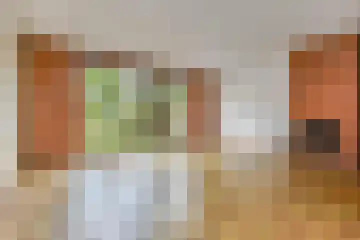 Saffier 40 Berkel en Rodenrijs thumbnail 9