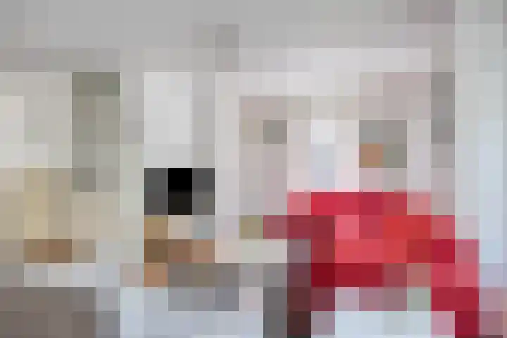 Saffier 6 Eindhoven thumbnail 10