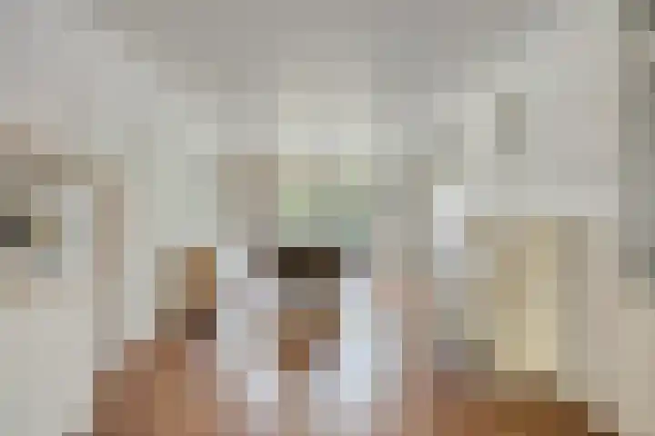 Saffier 6 Eindhoven thumbnail 11