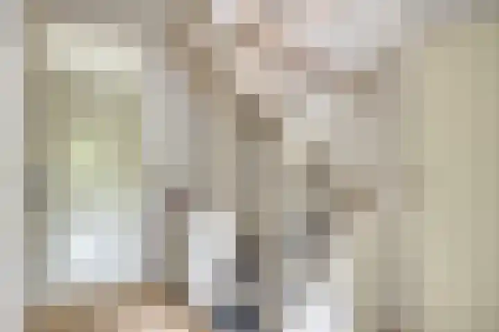 Saffier 6 Eindhoven thumbnail 18