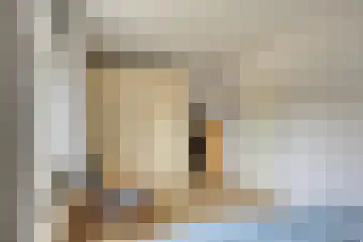 Saffier 6 Eindhoven thumbnail 20
