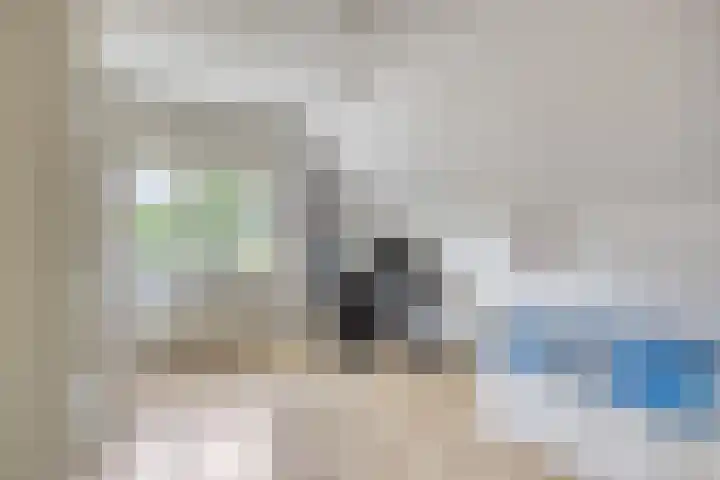 Saffier 6 Eindhoven thumbnail 21