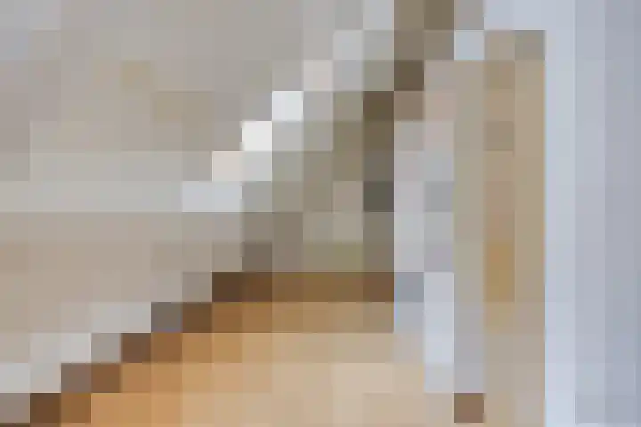 Saffier 6 Eindhoven thumbnail 26