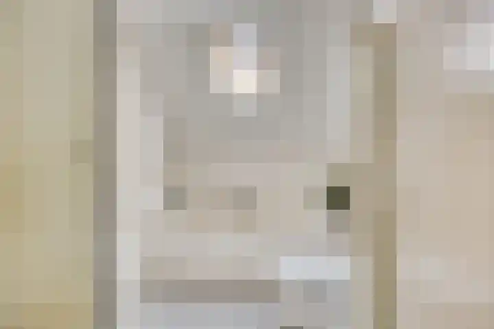 Saffier 6 Eindhoven thumbnail 27